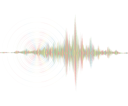 Seismic & Vibration
